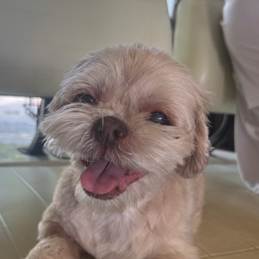 Tilly